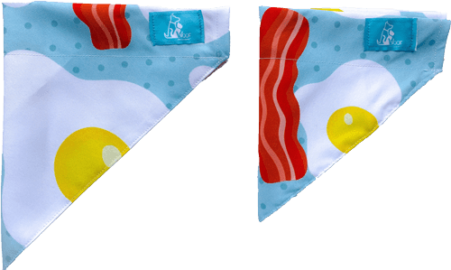Bandana-Huevo-Frito-cerrada