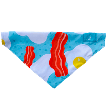 Bandana-Huevo-Frito-principal